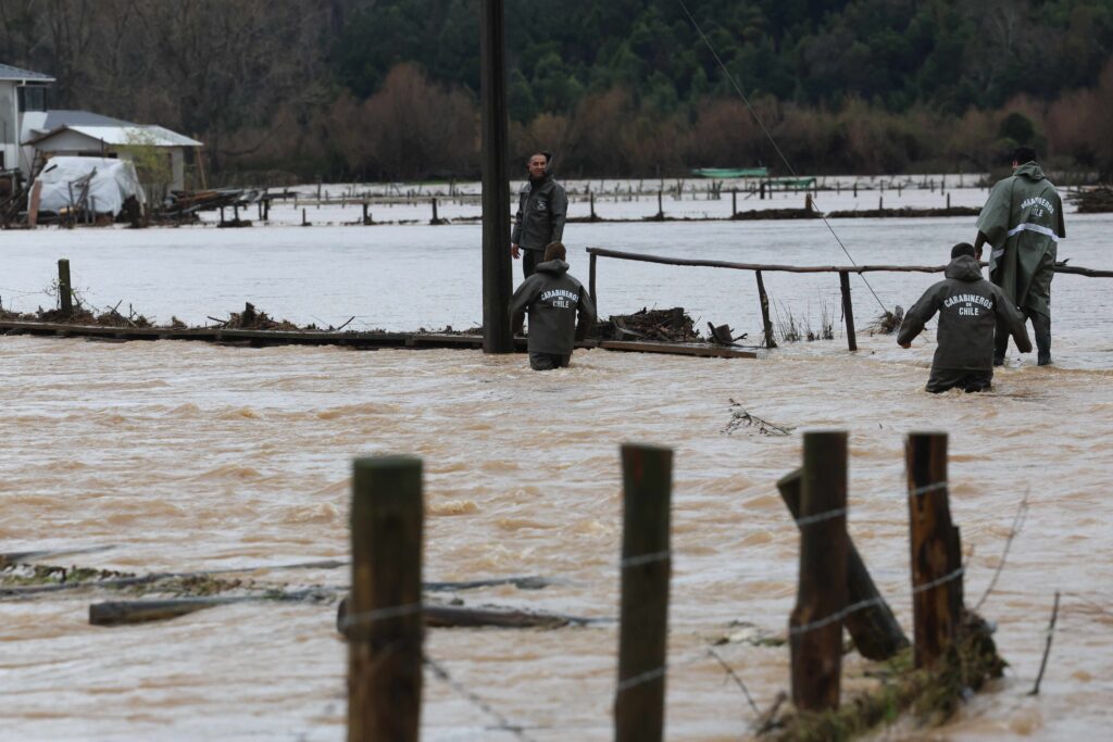 Maderas en el río Pichilo.